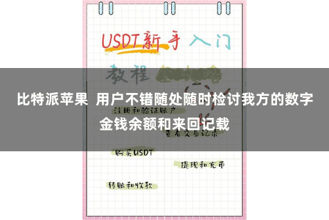 比特派苹果  用户不错随处随时检讨我方的数字金钱余额和来回记载