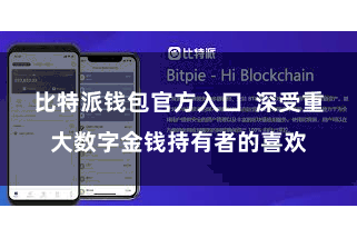 比特派钱包官方入口  深受重大数字金钱持有者的喜欢